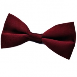 Boys Burgundy Satin Plain Dickie Bow Tie on Elastic